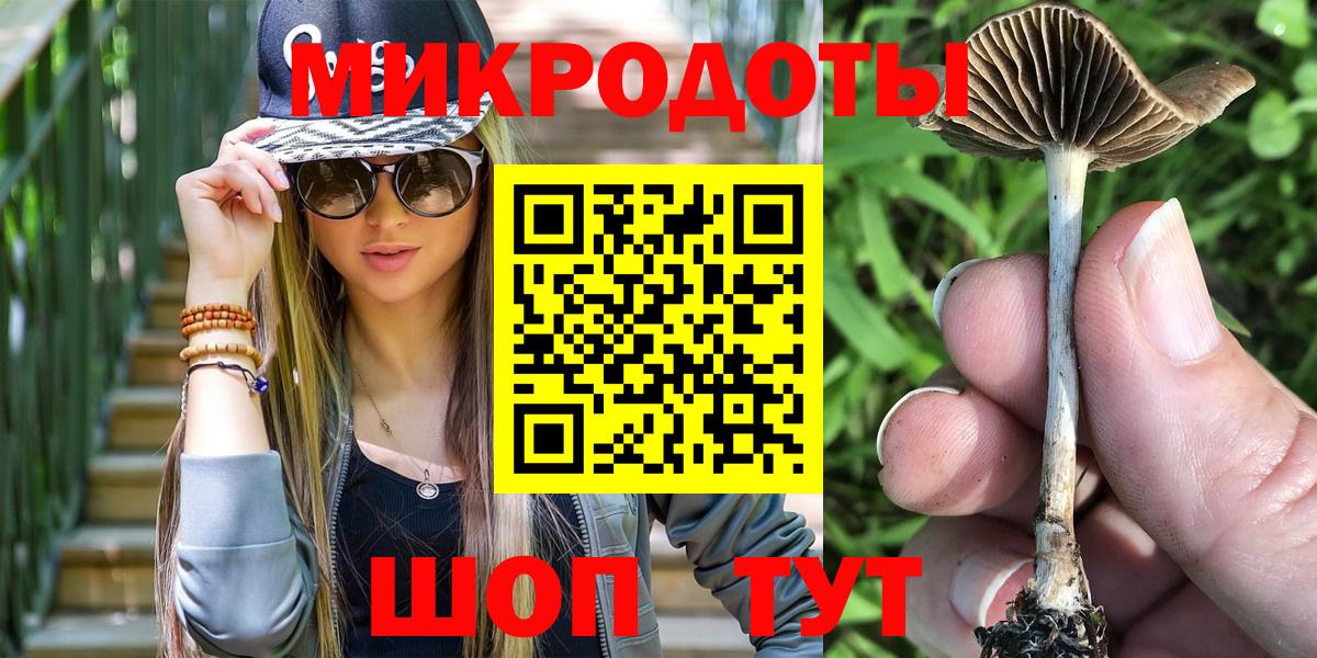 Галлюциногенные грибы мицелий Кыштым