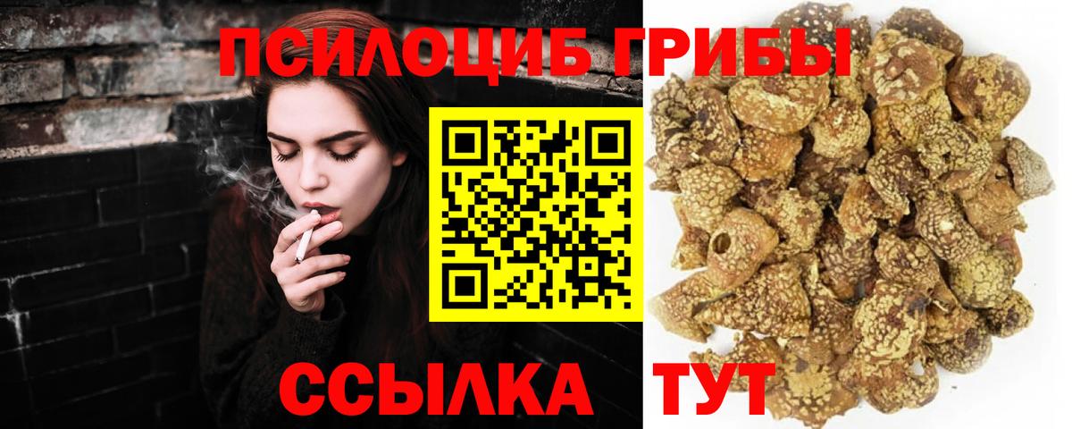 Кыштым  Псилоцибиновые грибы Magic Shrooms  Вход с VPN 